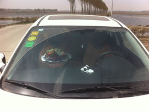 汽车验证多少钱