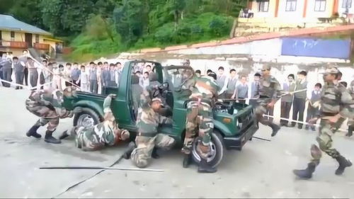 汽车兵多少辆车