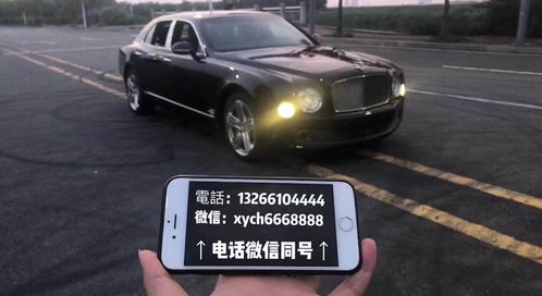 coyote汽车多少钱