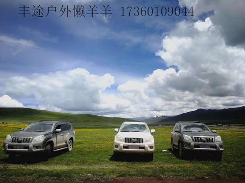 拉萨汽车租赁利润多少