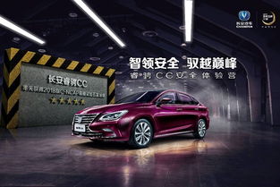 每辆汽车用多少铂金