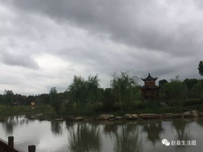 赵县汽车限多少号