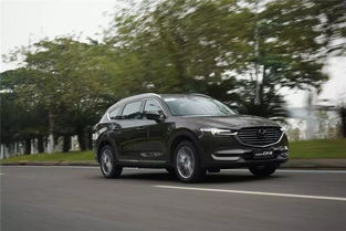 家用汽车的利润多少