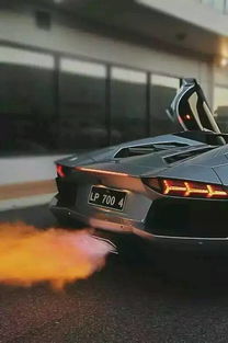 汽车喷火多少钱 汽车喷火多少钱