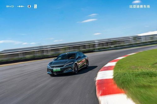 国内有多少汽车赛道