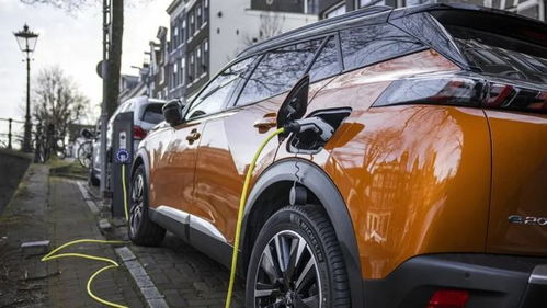 荷兰汽车罚款多少元