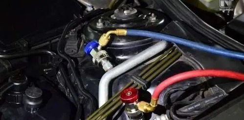 汽车氟要加到多少