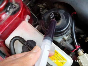 汽车需要更换多少油液