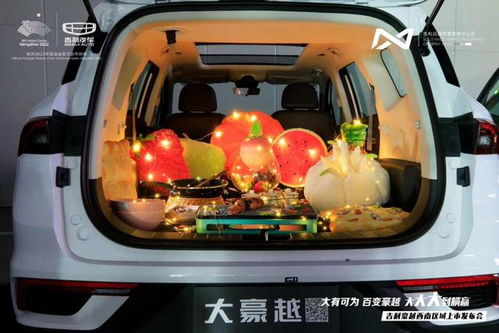 昂扬汽车尺寸多少寸