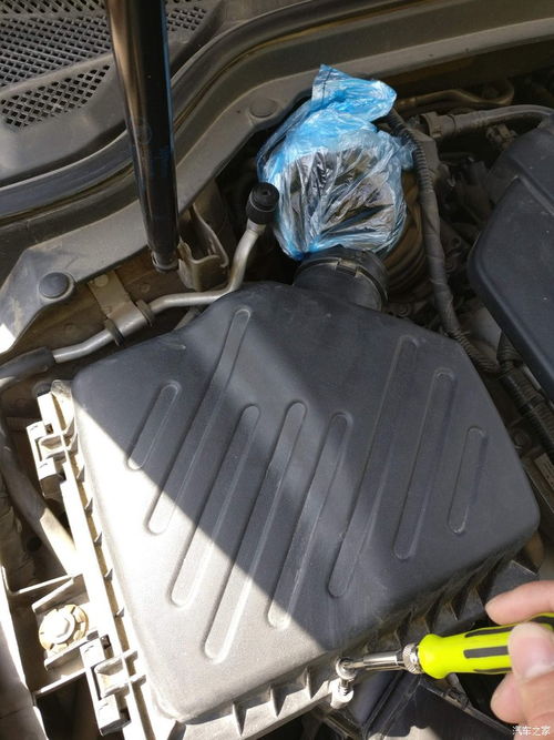 汽车气滤芯长宽多少