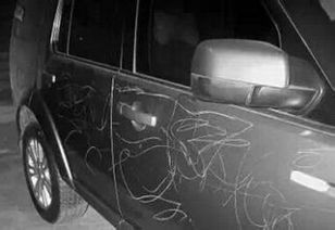 汽车划痕修复多少树枝