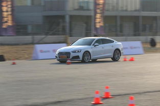 汽车麋鹿测试距离多少