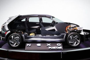 汽车最多有多少电池 汽车最多有多少电池