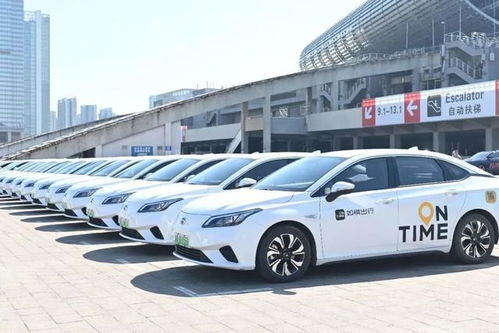 私人可以拥有多少汽车