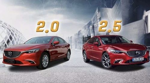 大型汽车的排量多少