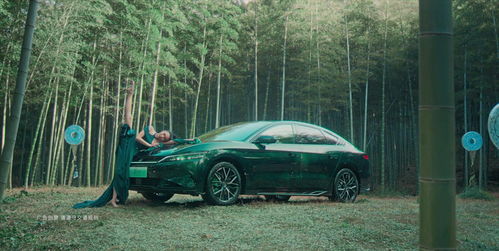 风范汽车电瓶多少伏