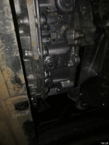 汽车机油放多少瓶 汽车机油放多少瓶