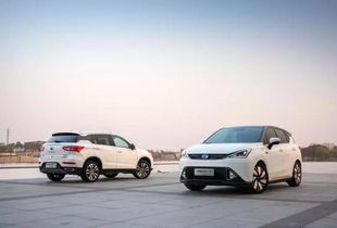 纯电汽车租金多少