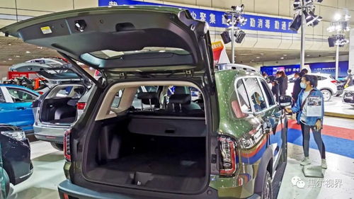 2021兰州汽车多少辆