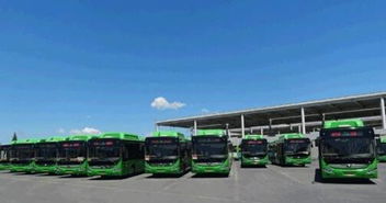 海阳有多少辆汽车