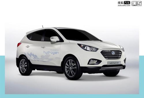 氢燃料汽车 价格多少
