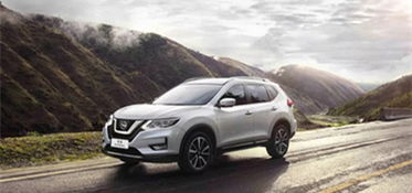 美国真实汽车数量多少