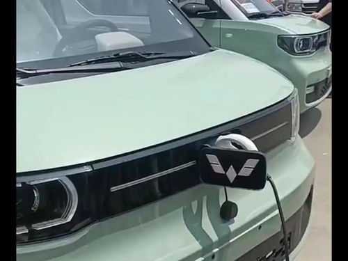 辛巴卖多少汽车