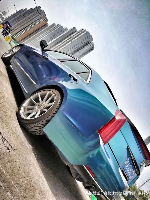 汽车背景多少钱