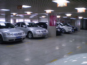 长春汽车人均多少辆