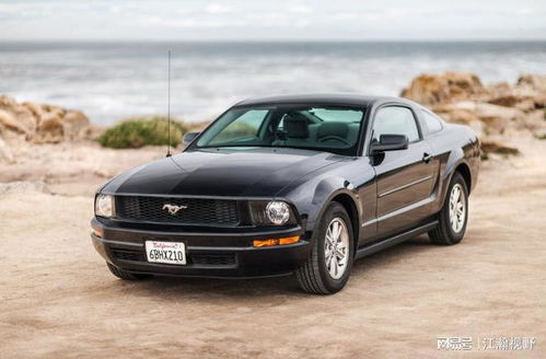 福特汽车股票亏了多少