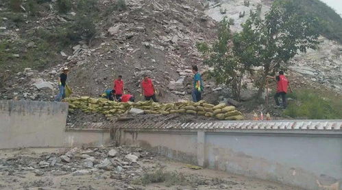 礼县到通渭多少汽车