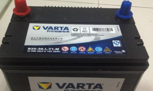 国内有多少电瓶汽车