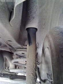 汽车减震里多少油