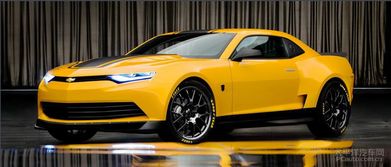 黄蜂汽车价格多少