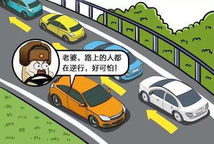 合阳汽车逆行罚款多少 合阳汽车逆行罚款多少