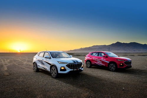 汽车最大扭矩多少马力