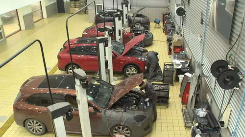 汽车油品多少钱