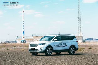 2020汽车有多少辆