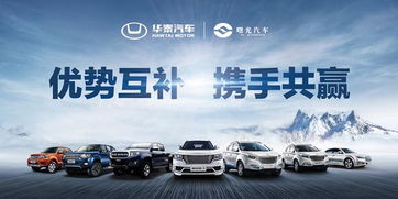 多少家汽车金融公司