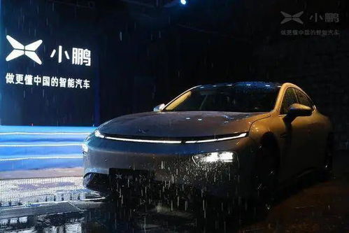 小鹏汽车补助多少