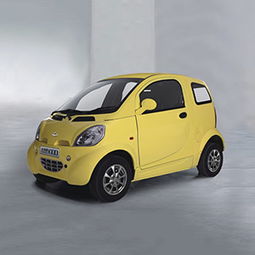 电动汽车都有多少