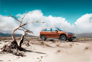 汽车的价钱多少