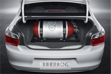 汽车燃气容量是多少