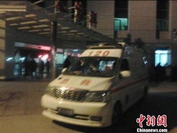 涡阳到丰县多少汽车