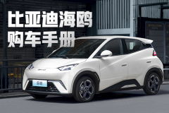 海鸥汽车电池价格多少