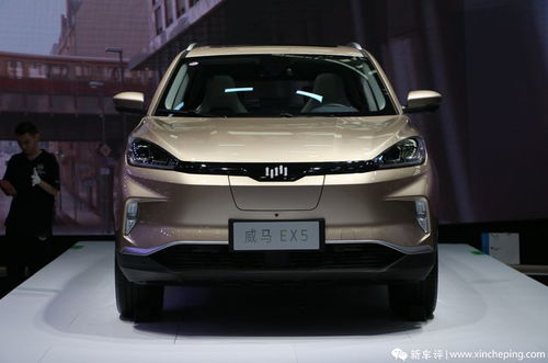 领跑汽车降薪多少了