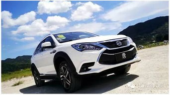 比亚迪汽车美国占股多少