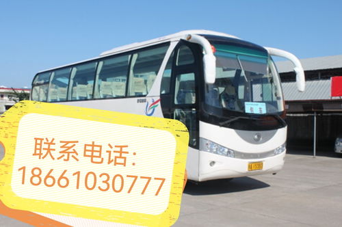 夏邑汽车多少钱