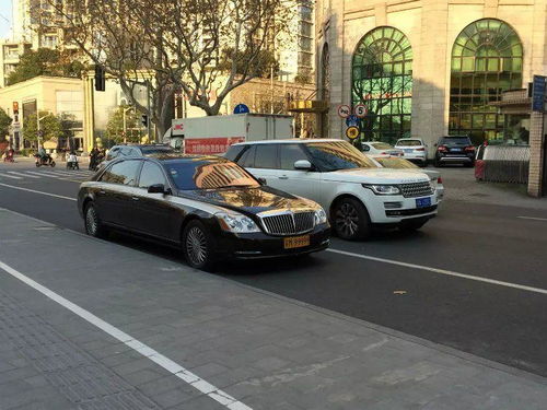 路边汽车价格多少