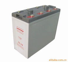 瑞泽汽车电瓶多少伏